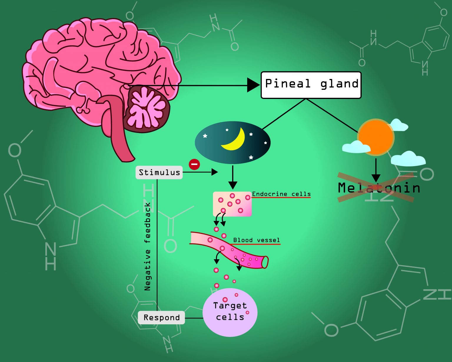 can-you-overdose-on-melatonin-sprout-health-group